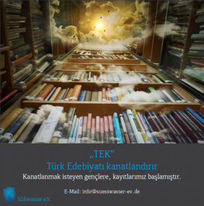 flyer_tek-v6
